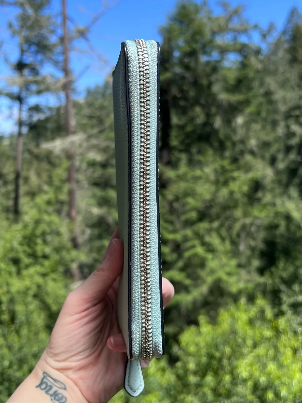 COACH Long Zip-Around Pebble Leather Wallet Sea Foam Green with Silver Hardware